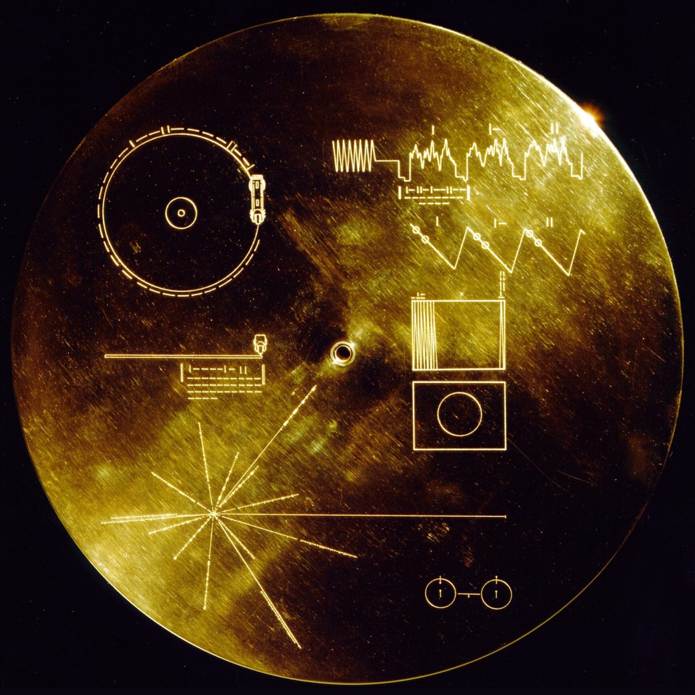 Both Voyager spacecraft carry a Golden Record meant for any alien who finds it: 115 images, sounds of Earth, music, and spoken greetings in 55 languages.