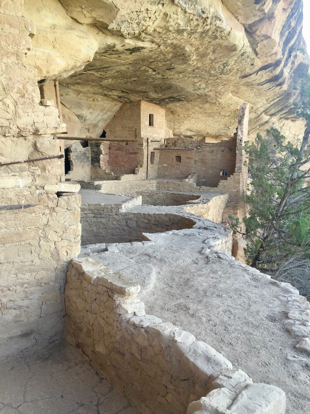 Cliff Palace, built into a cliff at Mesa Verde in Colorado, has 150 rooms and 23 kivas. It was likely home to more than 100 people, the National Park Service says.