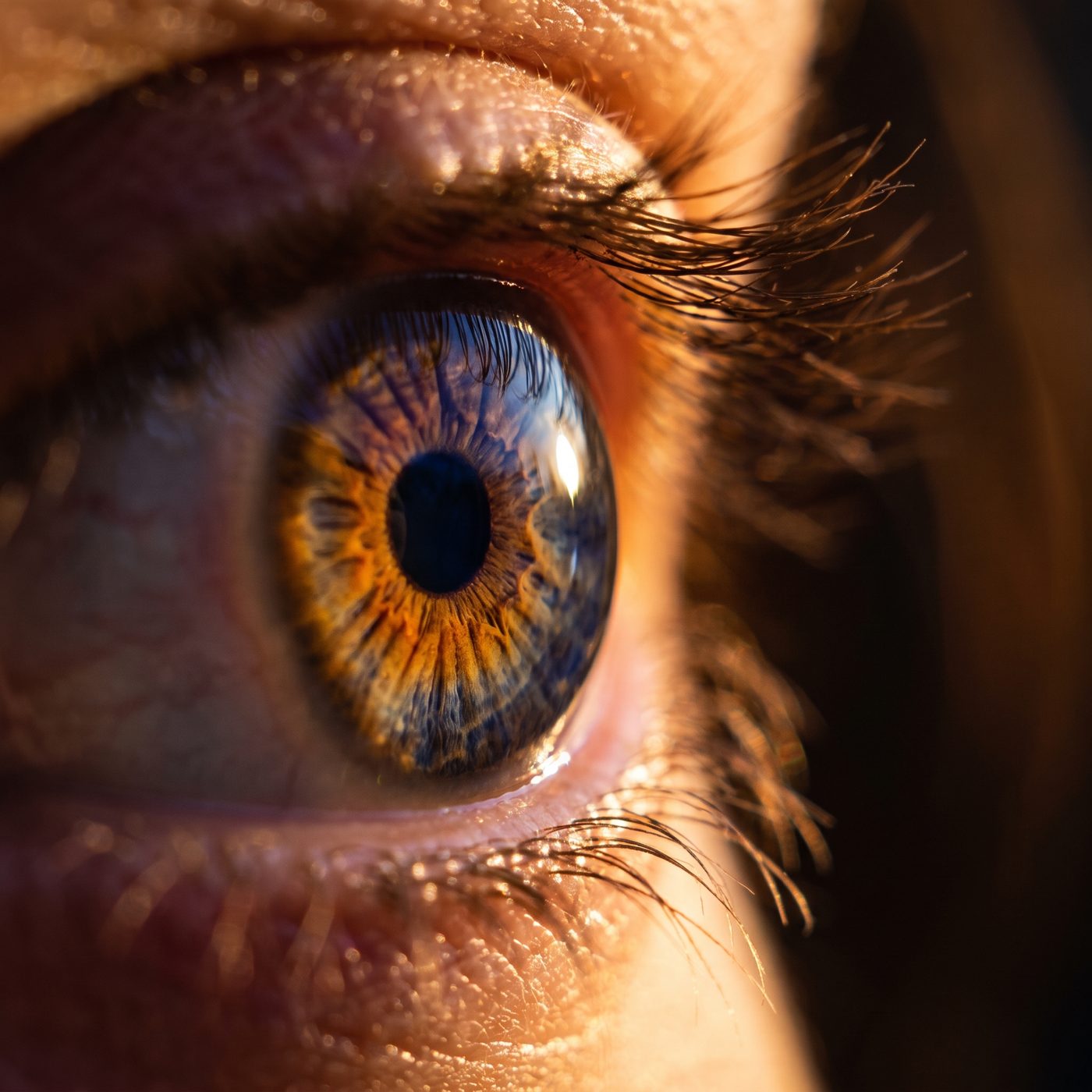 In 2016, Rockefeller researchers found the human eye can register a single photon — one particle of light, the smallest amount physics allows.