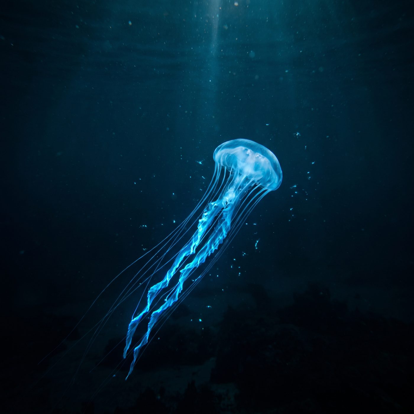 Off Monterey Bay, researchers counted 350,000 sea animals from the surface to 4,000 meters. 76% of them can make their own light.