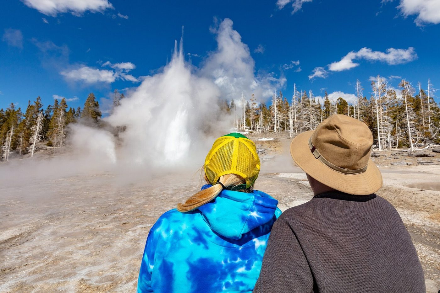 Yellowstone has more than 10,000 hot springs, geysers, mudpots and steam vents. More than 500 of them are geysers, the National Park Service says.